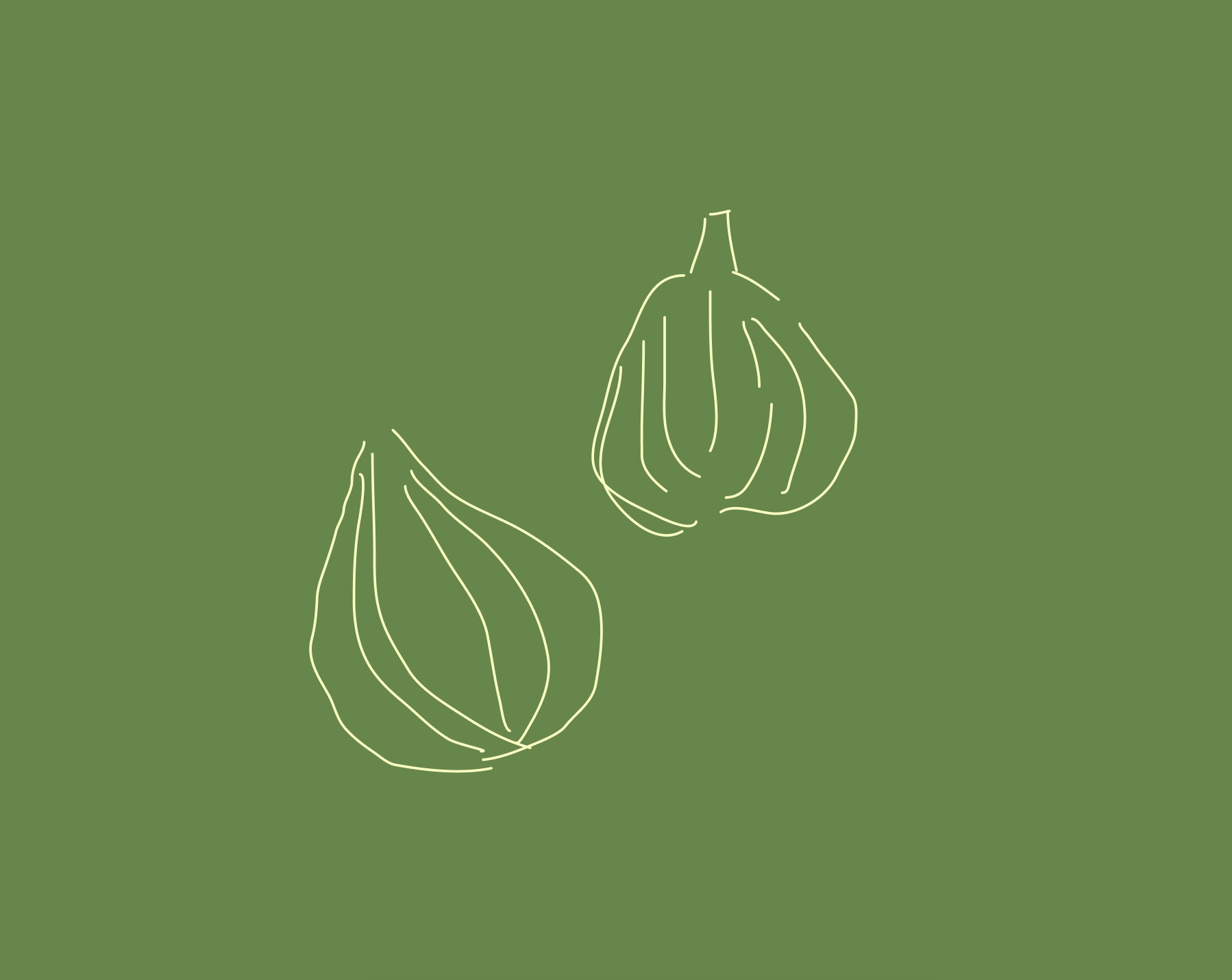 Two hand-drawn figs in pale yellow on a leafy green background — my Figsalade avatar.